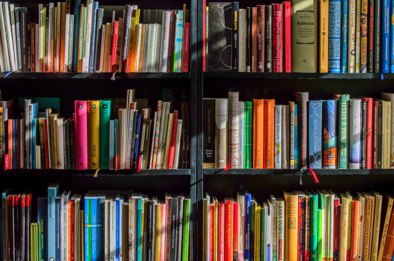 boutique-LES FERRES-min_books_bookstore_book_reading_shop_writer_sale_books_read-822866